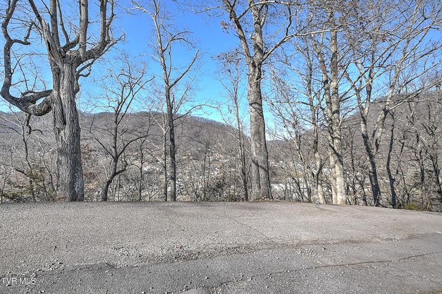 441 Skyline Drive, Gate City, VA 24251