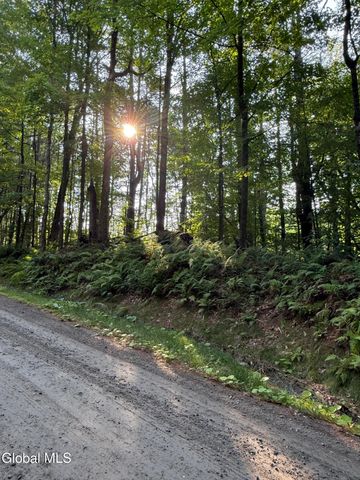 352 Dickinson Hill Road, Bolton, NY 12824