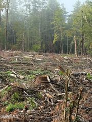 352 Dickinson Hill Road, Bolton, NY 12824