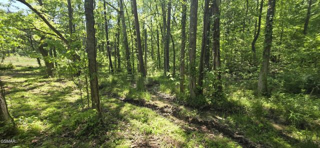 78 Harbor Ridge Lane, Dandridge, TN 37725