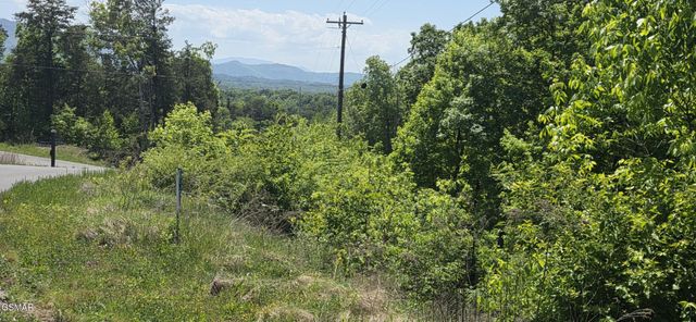 78 Harbor Ridge Lane, Dandridge, TN 37725