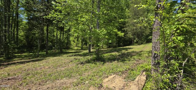 78 Harbor Ridge Lane, Dandridge, TN 37725