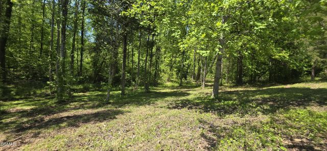 78 Harbor Ridge Lane, Dandridge, TN 37725
