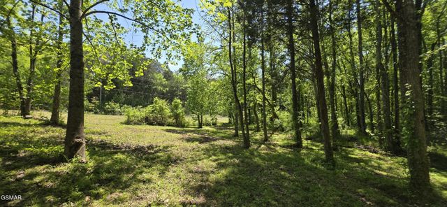 78 Harbor Ridge Lane, Dandridge, TN 37725