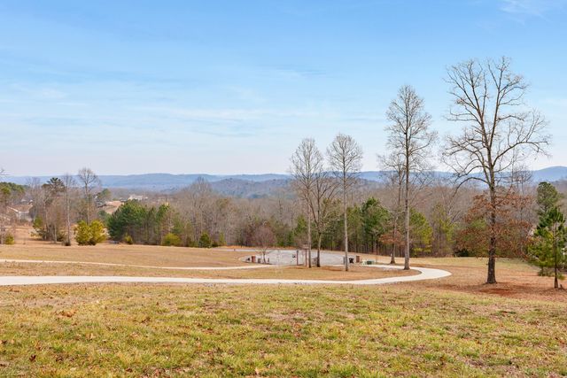 190 Scenic View Drive, Georgetown, TN 37336