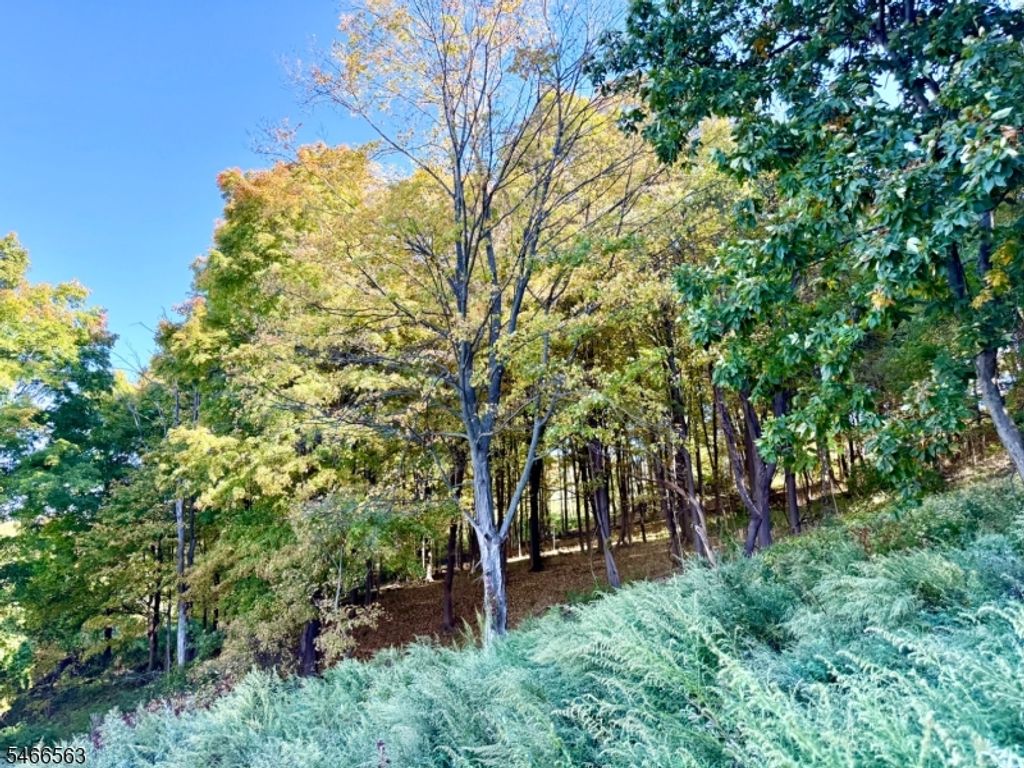 109 Munsonhurst Rd, Franklin Boro, NJ 07416 — exterior