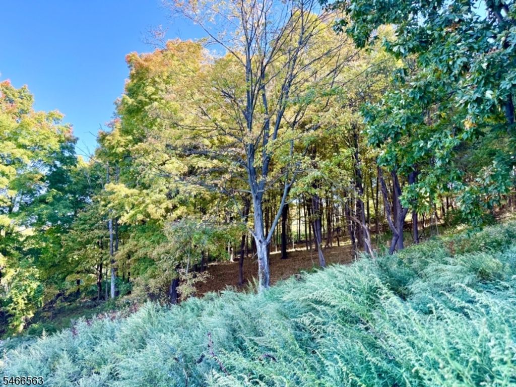109 Munsonhurst Rd, Franklin Boro, NJ 07416 — photo 2