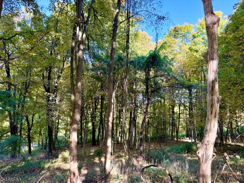 109 Munsonhurst Rd, Franklin Boro, NJ 07416 — photo 4