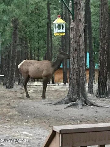 17 COUNTY ROAD 2195 --, Alpine, AZ 85920