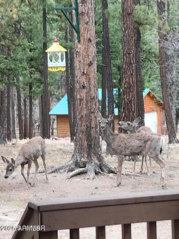 17 COUNTY ROAD 2195 --, Alpine, AZ 85920