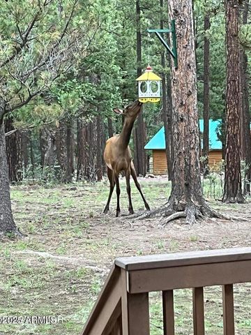 17 COUNTY ROAD 2195 --, Alpine, AZ 85920