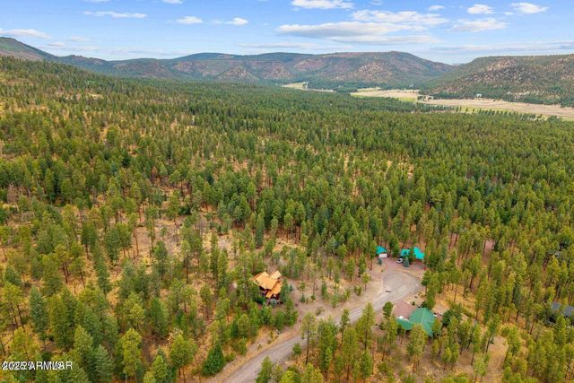 17 COUNTY ROAD 2195 --, Alpine, AZ 85920