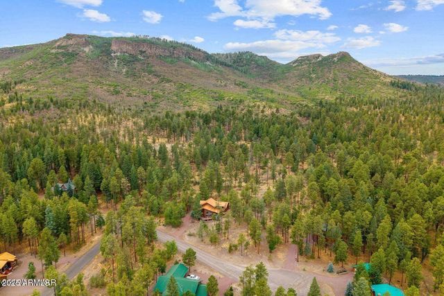 17 COUNTY ROAD 2195 --, Alpine, AZ 85920