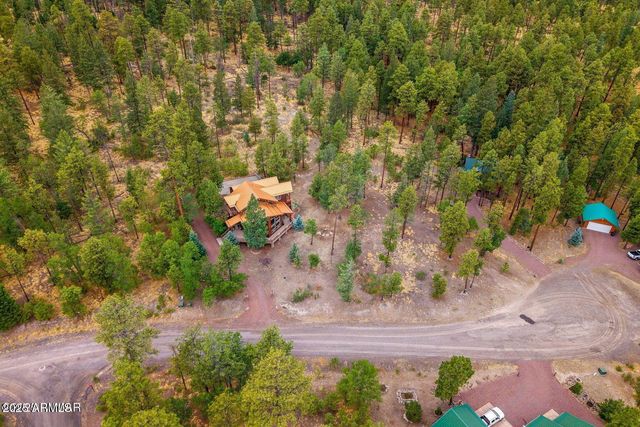 17 COUNTY ROAD 2195 --, Alpine, AZ 85920