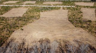 8 Hwy 6, Cross, SC 29436