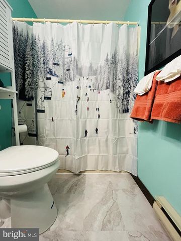 17 VAN DOREN MEWS, Albrightsville, PA 18210