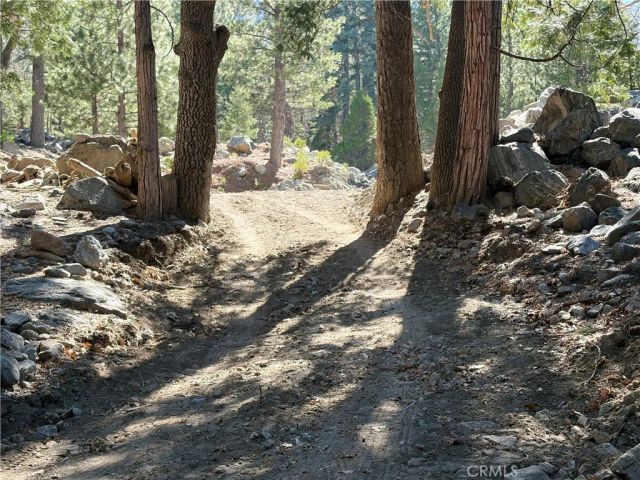 120 Barton Flats, Angelus Oaks, CA 92305