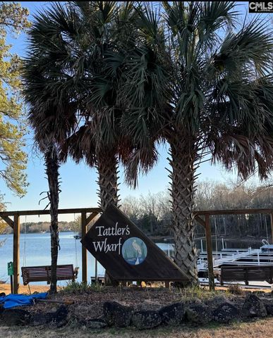 6 Green Shank Court, Irmo, SC 29063