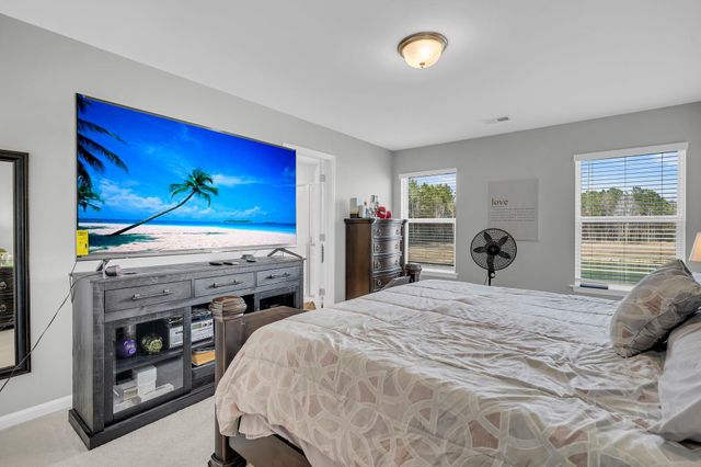 396 Painted Lady Lane, Goose Creek, SC 29445