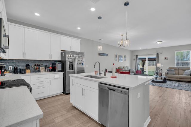 396 Painted Lady Lane, Goose Creek, SC 29445