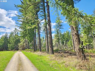 25444 E HUNTER Rd 501, Veneta, OR 97487