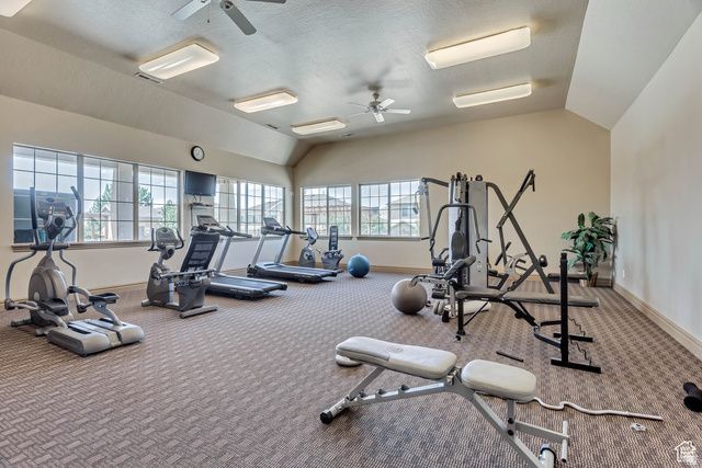 3168 W WILD FLOWER LN, Lehi, UT 84048