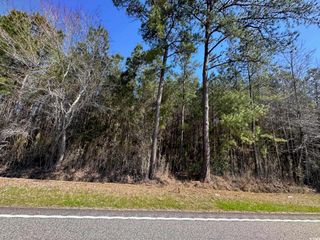TBD Joyner Swamp Rd., Galivants Ferry, SC 29544
