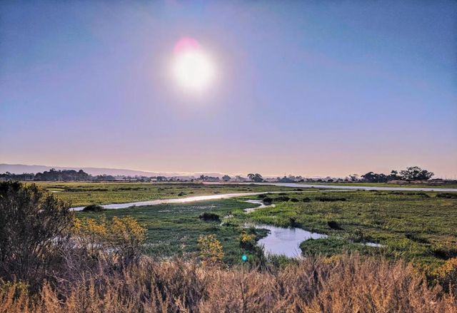 225 W Meadow Drive, Palo Alto, CA 94306