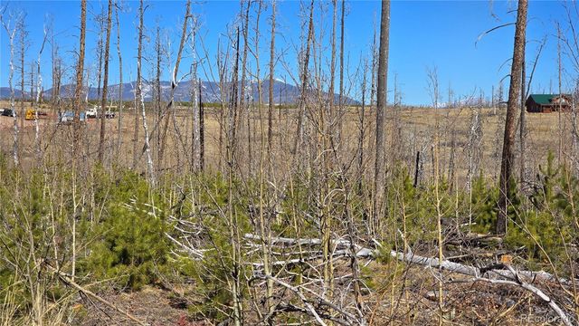 Lot 1460 Von Heyl Lane, Fort Garland, CO 81133
