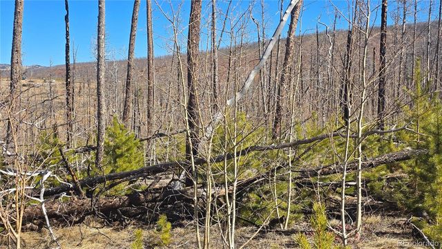 Lot 1460 Von Heyl Lane, Fort Garland, CO 81133
