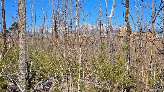 Lot 1460 Von Heyl Lane, Fort Garland, CO 81133