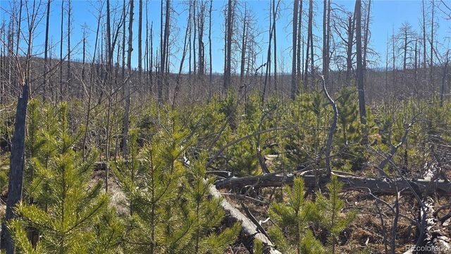 Lot 1460 Von Heyl Lane, Fort Garland, CO 81133