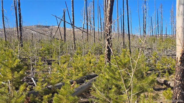 Lot 1460 Von Heyl Lane, Fort Garland, CO 81133