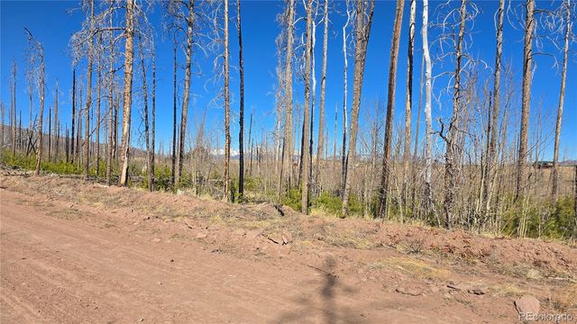 Lot 1460 Von Heyl Lane, Fort Garland, CO 81133