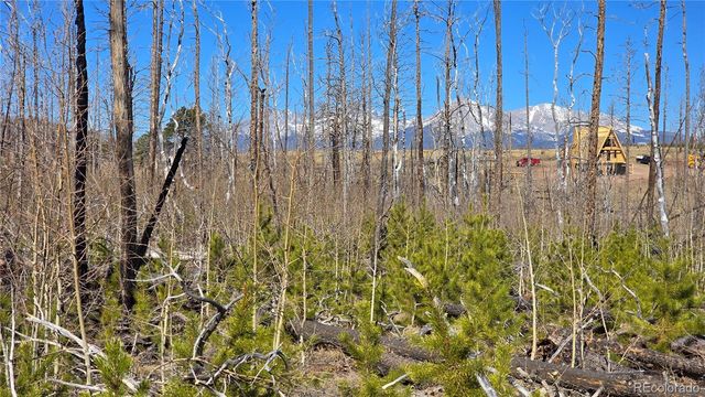 Lot 1460 Von Heyl Lane, Fort Garland, CO 81133