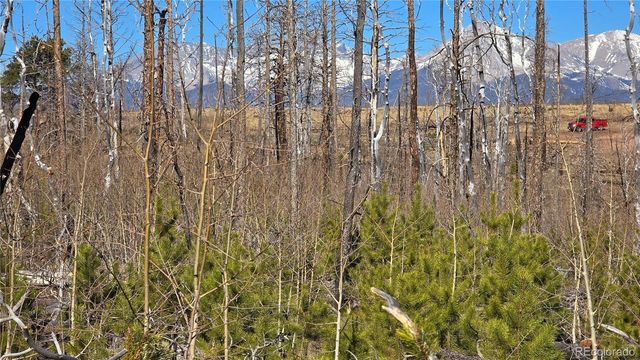 Lot 1460 Von Heyl Lane, Fort Garland, CO 81133
