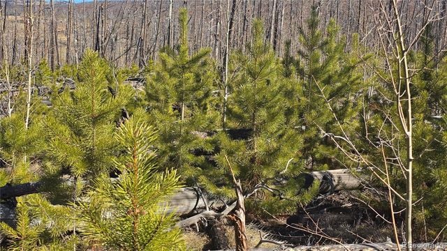 Lot 1460 Von Heyl Lane, Fort Garland, CO 81133