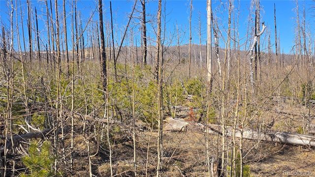 Lot 1460 Von Heyl Lane, Fort Garland, CO 81133