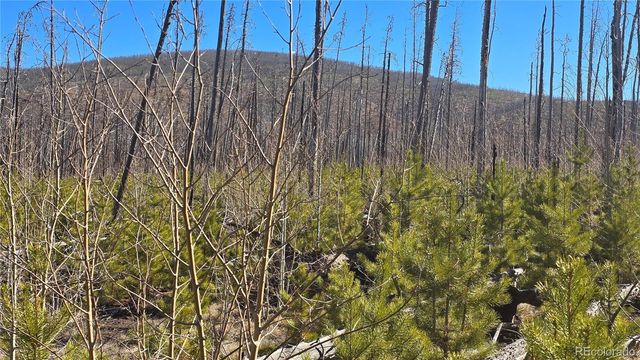 Lot 1460 Von Heyl Lane, Fort Garland, CO 81133