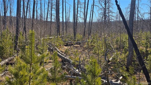 Lot 1460 Von Heyl Lane, Fort Garland, CO 81133