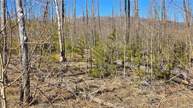 Lot 1460 Von Heyl Lane, Fort Garland, CO 81133