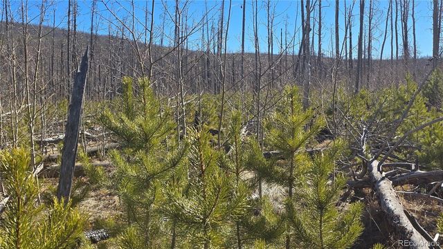 Lot 1460 Von Heyl Lane, Fort Garland, CO 81133