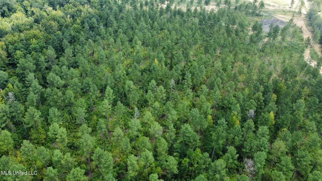 4 Dry Grove Road, Terry, MS 39170