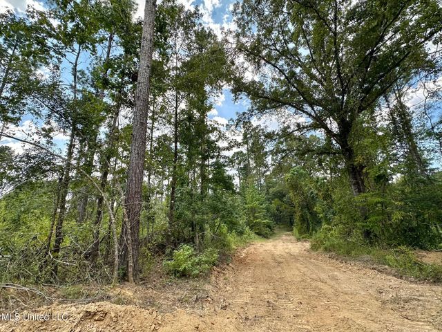 4 Dry Grove Road, Terry, MS 39170