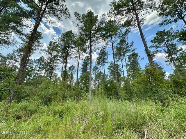 4 Dry Grove Road, Terry, MS 39170