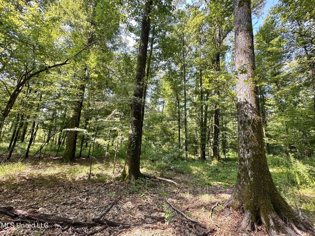 4 Dry Grove Road, Terry, MS 39170