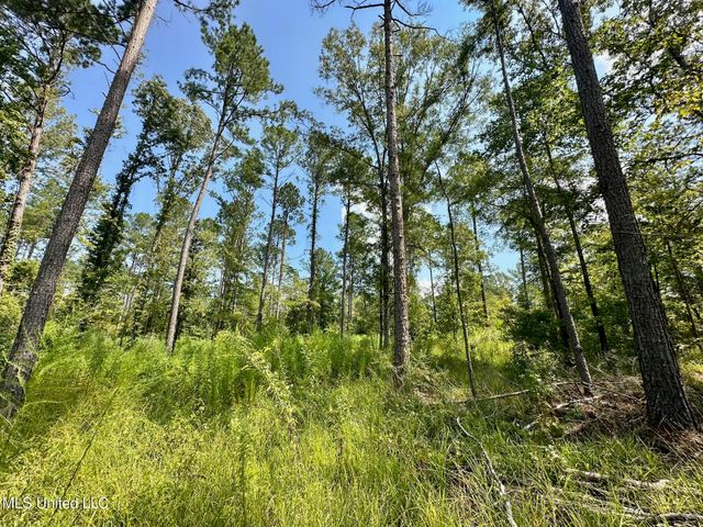 4 Dry Grove Road, Terry, MS 39170