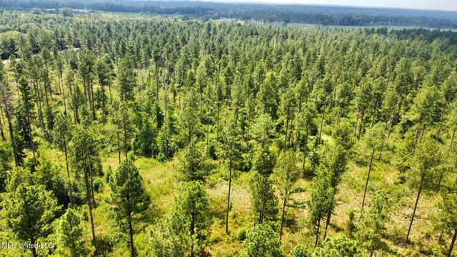 4 Dry Grove Road, Terry, MS 39170