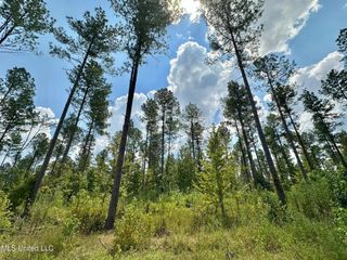4 Dry Grove Road, Terry, MS 39170