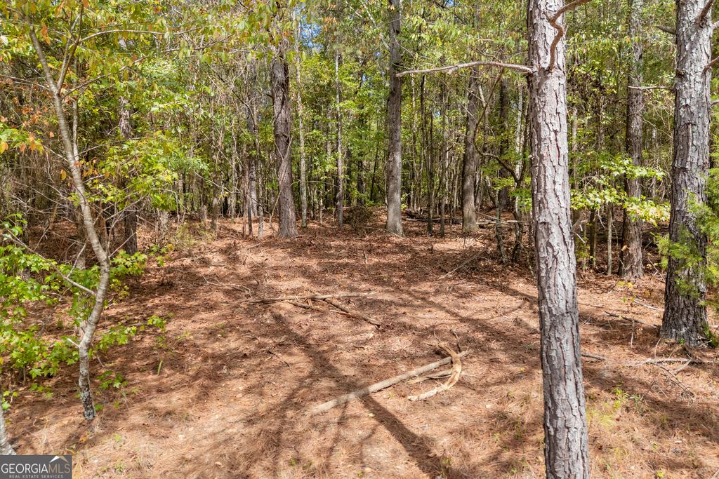 0 Kincaid Cemetery Road, Colbert, GA 30628 — photo 5